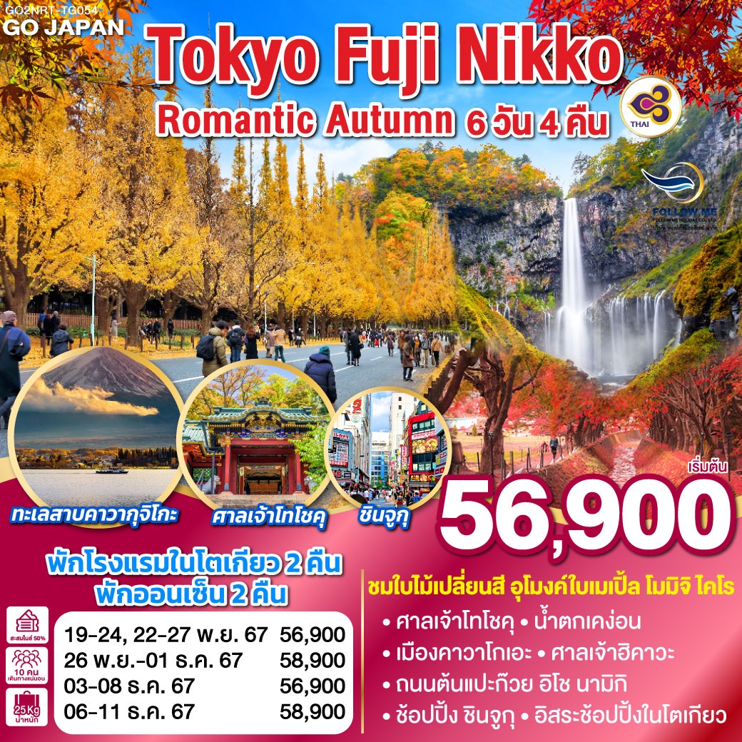 NRTTG054 ทัวร์ญี่ปุ่น Tokyo Fuji Nikko Romantic Autumn 6 วัน 4 คืน