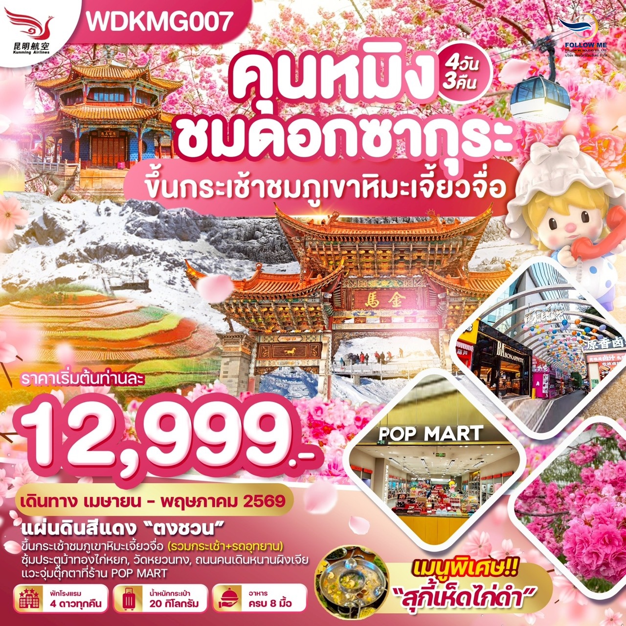 คุนหมิง ชมดอกซากุระ ขึ้นกระเช้าชมภูเขาหิมะเจียวจื่อ 4D 3N