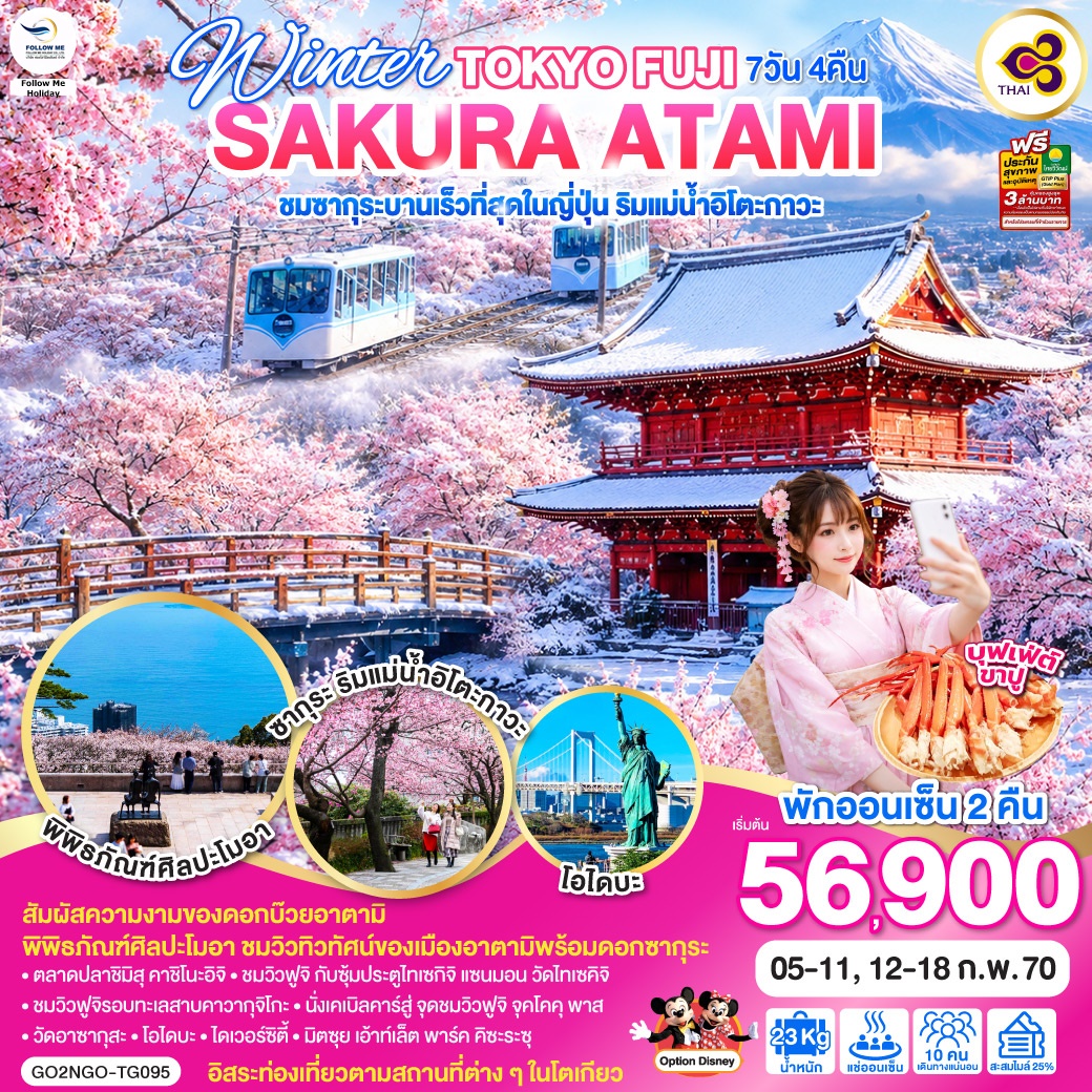 WINTER TOKYO FUJI SAKURA ATAMI 7D 4N โดยสายการบินบินไทย